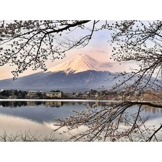紫霧さん用  富士山写真(アート/写真)