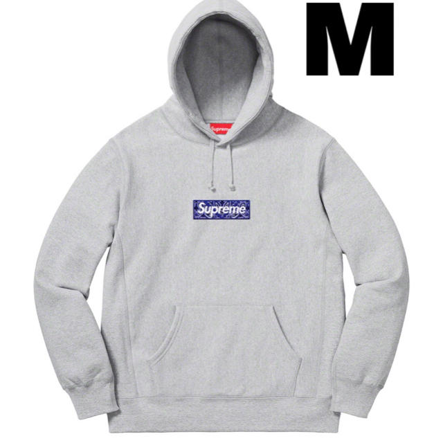 パーカーBandana Box Logo Hooded Sweatshirt