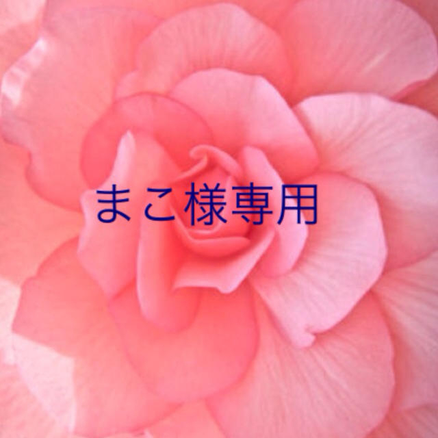 Spick & Span - まこ