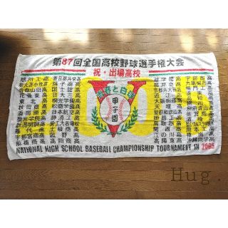 甲子園▼第87回全国高校野球選手権大会タオル(記念品/関連グッズ)