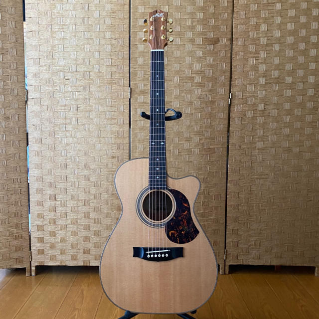 Maton EBG808c Michael Fix