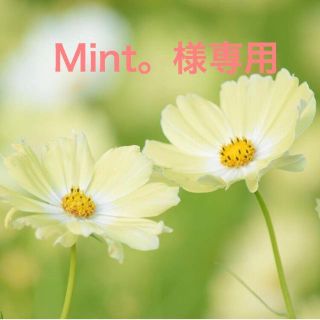 Mint。様専用(カラージェル)