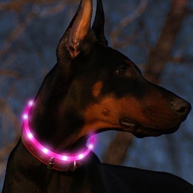 犬用 光る首輪 充電式 散歩 アウトレット品 ピンク //b6l その他のペット用品(犬)の商品写真