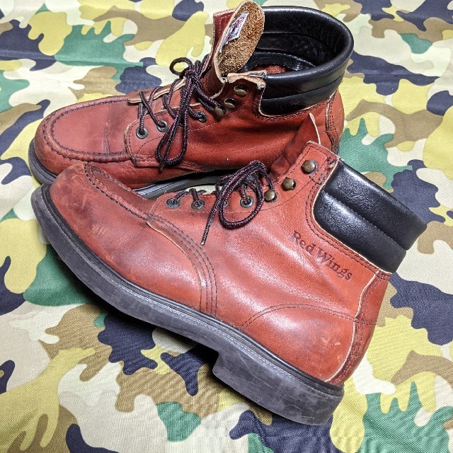 REDWING beams boy アイリッシュセッター