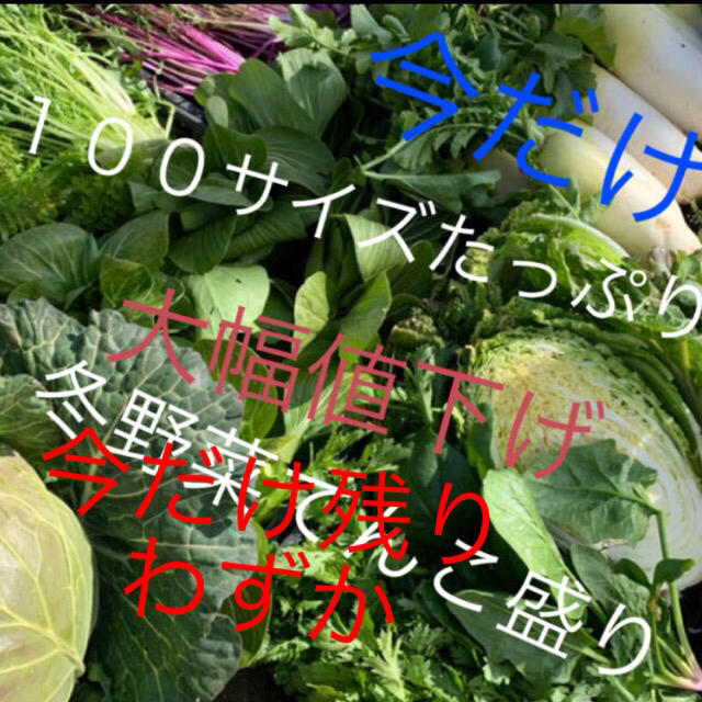 残りわずか❗️山東菜追加で野菜詰め合わせ送料無料激安価格値下げ入るだけ 食品/飲料/酒の食品(野菜)の商品写真