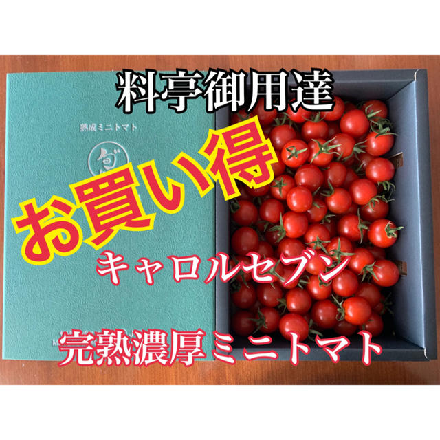 熊本県 完熟濃厚ミニトマト  500g ☆キャロルセブン☆ 農家直送 食品/飲料/酒の食品(野菜)の商品写真