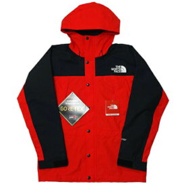 THE NORTH FACE マウンテンライトジャケット  L