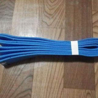すーちゃん様専用(相撲/武道)