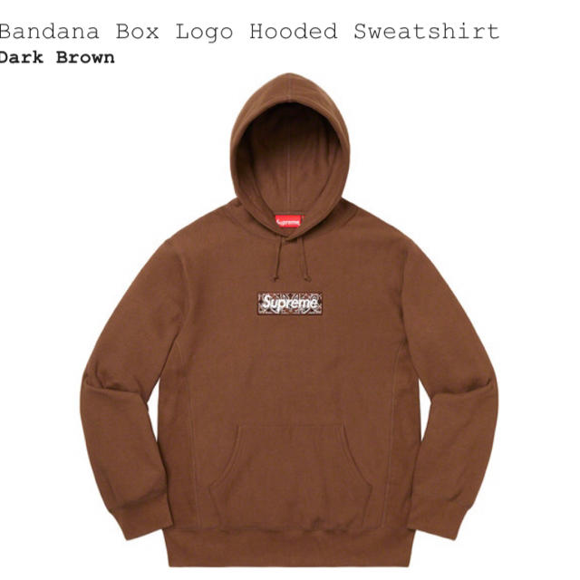 Lサイズ Bandana Box Logo Hooded Sweatshirt