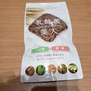 まりり様専用　LAVA 乳酸菌美人　未開封　90粒(ダイエット食品)