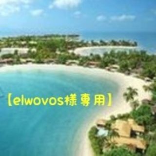 【elwovos様専用】(アイドルグッズ)