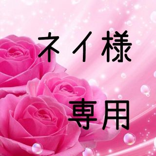 ネイ様専用　お米 令和元年 愛媛県産あきたこまち 玄米 30kg(米/穀物)
