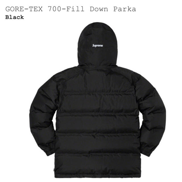 Supreme(シュプリーム)のSupreme GORE-TEX 700-Fill Down Parka メンズのジャケット/アウター(ダウンジャケット)の商品写真