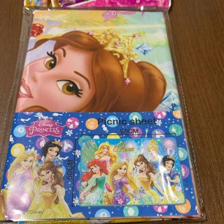 ディズニー(Disney)のディズニー プリンセス レジャーシート ブルー(その他)