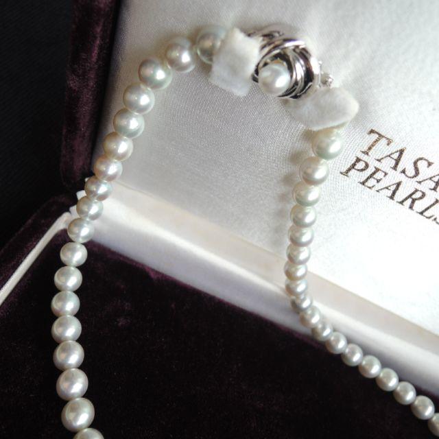 TASAKI(タサキ)のTASAKI 田崎真珠 あこや真珠ネックレス ブルー レディースのアクセサリー(ネックレス)の商品写真