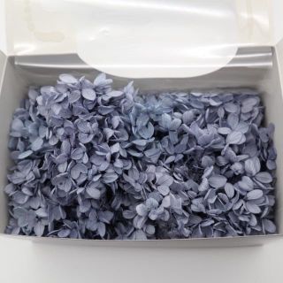 プリザーブド紫陽花 ロイヤルブルー(プリザーブドフラワー)
