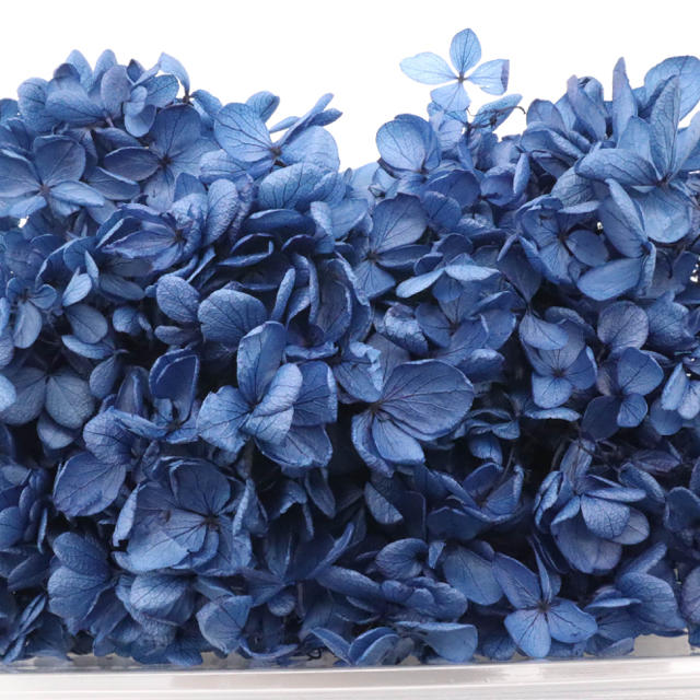 プリザーブド 紫陽花 ネイビーブルー ハンドメイドのフラワー/ガーデン(プリザーブドフラワー)の商品写真