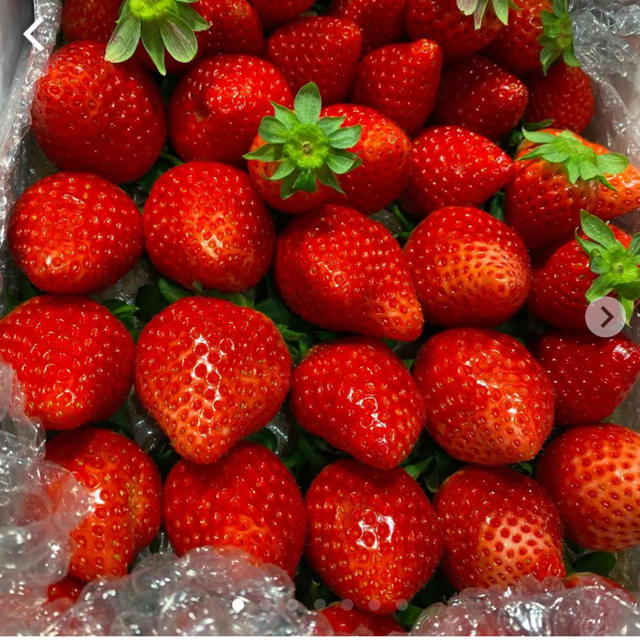 規格外いちごさん約1kg●いちご　苺　イチゴ 食品/飲料/酒の食品(フルーツ)の商品写真