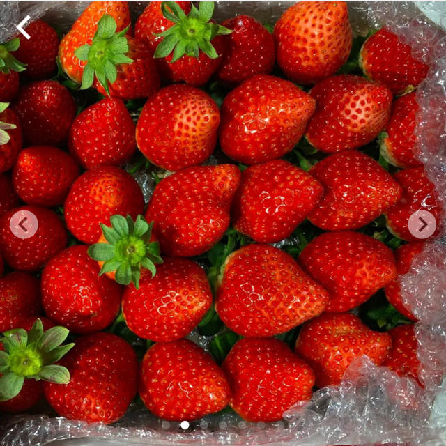 規格外いちごさん約1kg●いちご　苺　イチゴ 食品/飲料/酒の食品(フルーツ)の商品写真