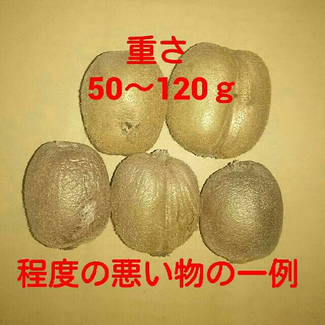 ５kg 栃木県産 キウイフルーツ ハネ出し加工用 食品/飲料/酒の食品(フルーツ)の商品写真