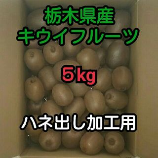 ５kg 栃木県産 キウイフルーツ ハネ出し加工用(フルーツ)