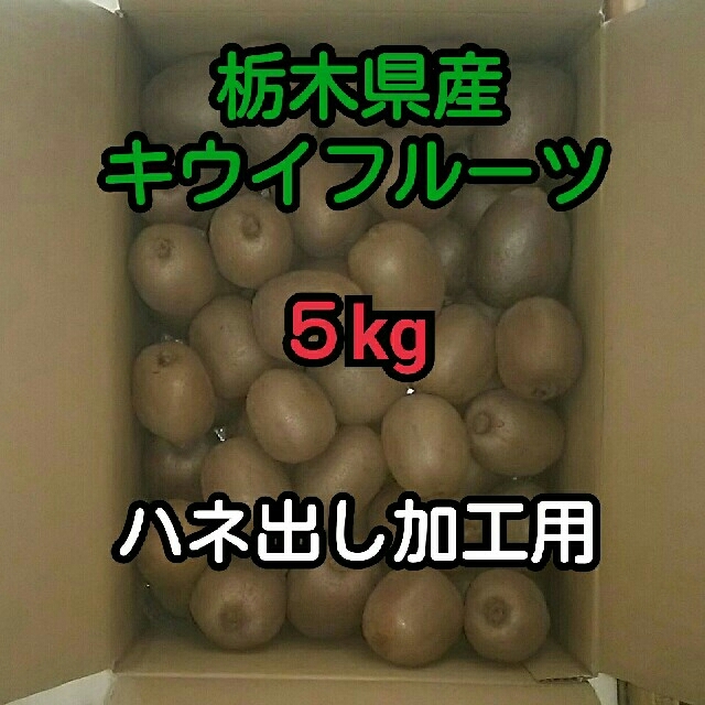 ５kg 栃木県産 キウイフルーツ ハネ出し加工用 食品/飲料/酒の食品(フルーツ)の商品写真