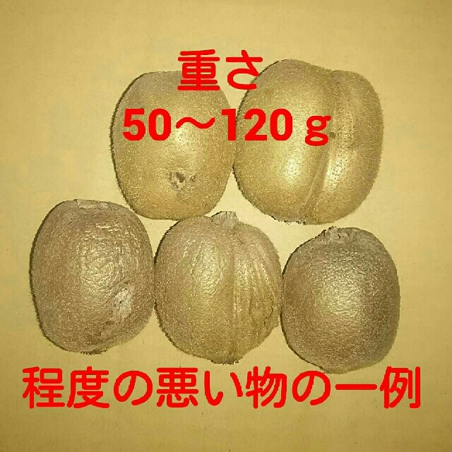 ５kg 栃木県産 キウイフルーツ ハネ出し加工用 食品/飲料/酒の食品(フルーツ)の商品写真