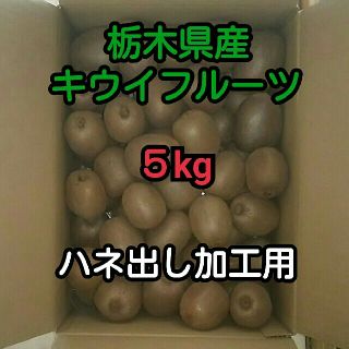 ５kg 栃木県産 キウイフルーツ ハネ出し加工用(フルーツ)