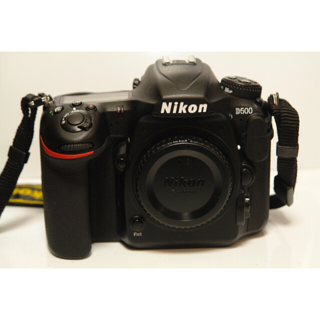 超ポイントアップ祭 Nikon - NIKON D500ボディ　ショット数僅 デジタル一眼