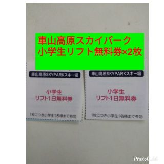 車山高原スカイパークスキー場 子供リフト無料券×2枚(スキー場)