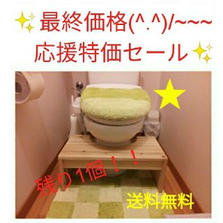 ♥最終価格！！トイトレ応援特価セール♥子供用トイレの踏み台　撥水加工　送料無料(補助便座)