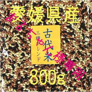 まるちゃん様専用  古代米3種ブレンド　愛媛県産　800ｇ×2(米/穀物)