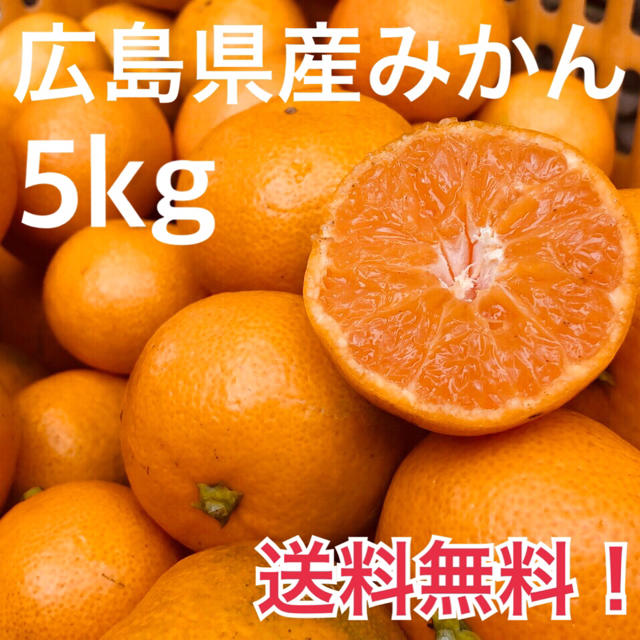 大崎上島産 みかん 5kg 広島 瀬戸内 普通温州 食品/飲料/酒の食品(フルーツ)の商品写真