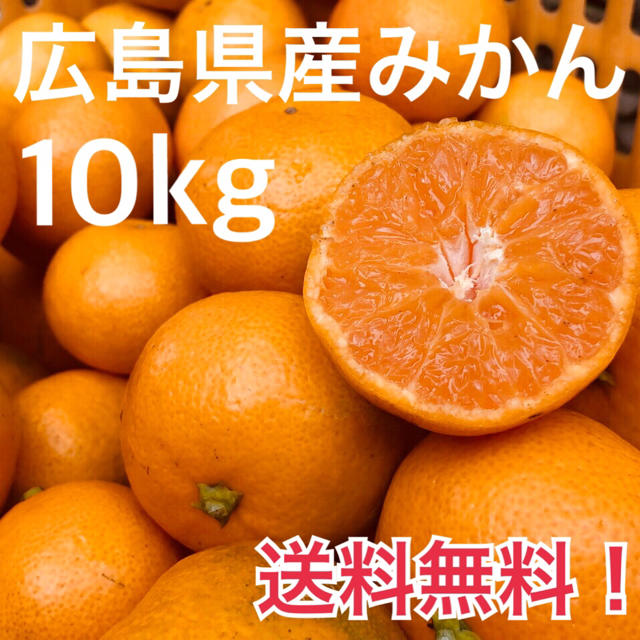 大崎上島産 みかん 10kg 広島 瀬戸内 普通温州 食品/飲料/酒の食品(フルーツ)の商品写真