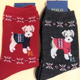 ポロラルフローレン(POLO RALPH LAUREN)の新品　レディース POLO ポロラルフローレン　人気柄新色　毛ソックス2足組(ソックス)