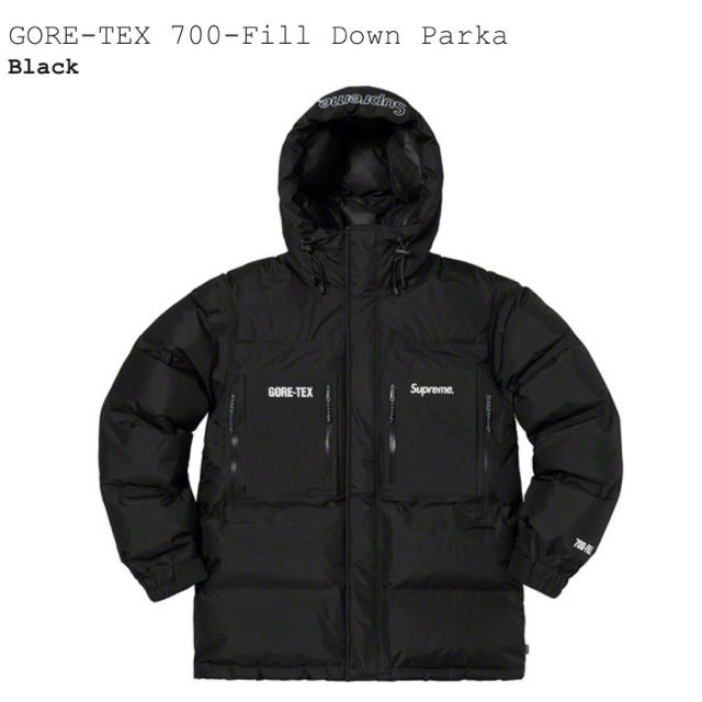 SUPREME GORE-TEX 700-FILL DOWN PARKA