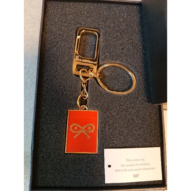 ANYA HINDMARCH(アニヤハインドマーチ)の新品・未使用☆ANYA HINDMARCH キーホルダー レディースのファッション小物(キーホルダー)の商品写真