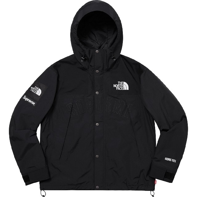 Supreme/The North Face MountainParka