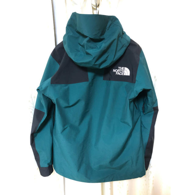 THE NORTH FACE(ザノースフェイス)のTHE NORTH FACE マウンテンジャケット NP61800/L メンズのジャケット/アウター(マウンテンパーカー)の商品写真