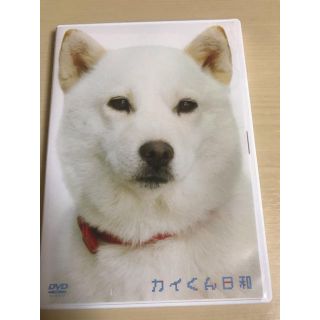 カイくん日和 DVD(趣味/実用)