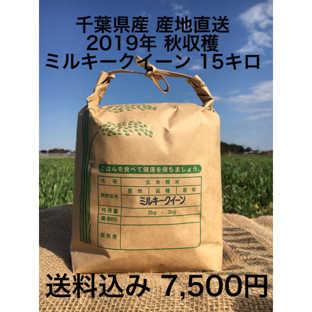 2019年収穫 ミルキークイーン15キロ 食品/飲料/酒の食品(米/穀物)の商品写真