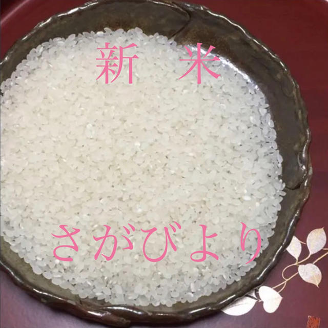 食品/飲料/酒令和元年度産 もち米 ひめのもち 白米24kg 送料込み - 米/穀物