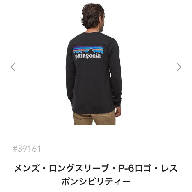 ラスト1！本日発送！Patagonia ロンT S