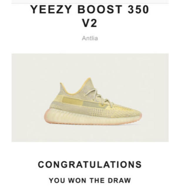 YEEZY BOOST 350v2 Antlia