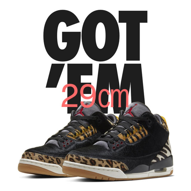 JORDAN3【29㎝】