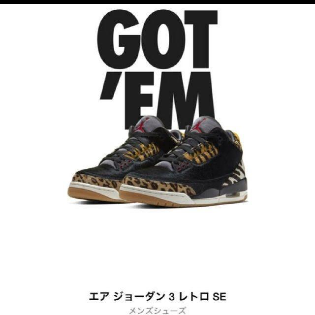 27.5 AIR JORDAN 3 ANIMAL INSTINCTメンズ