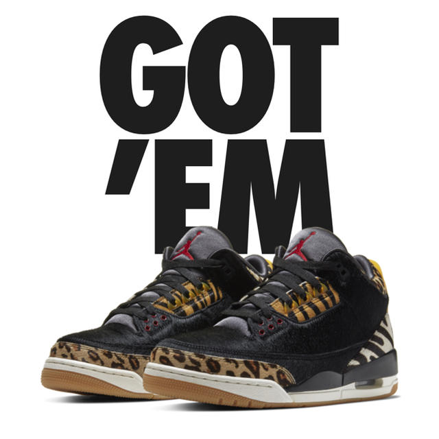 スニーカーNIKE AIR JORDAN 3 ANIMAL INSTINCT