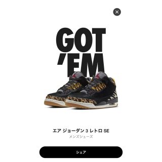 ナイキ(NIKE)のエアジョーダン3 27.5(スニーカー)