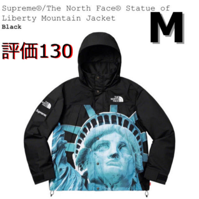 Supreme The North Face Mountain Jacket