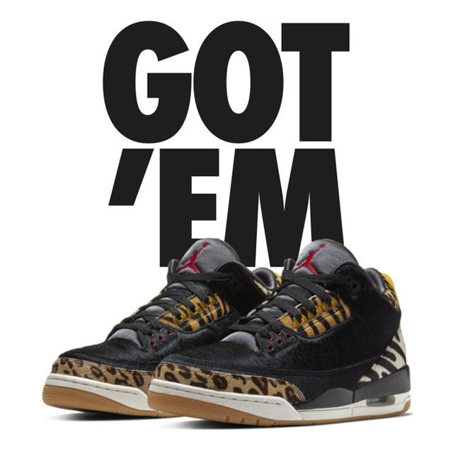 国内正規品 nike air jordan 3 animal instinct